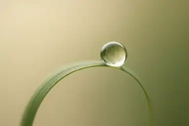 Symbolbild für ersten Coaching-Kontakt – für Menschen in Wandel und Orientierung auf der Suche nach tiefer Begleitung