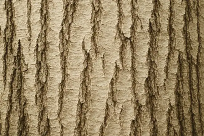 Resonanz-Coaching für Menschen in Übergängen: Coaching mit Präsenz, Resonanz und innerer Stabilität – Klarheit und Orientierung im Wandel, auch in Zeiten von Digitalisierung und KI.