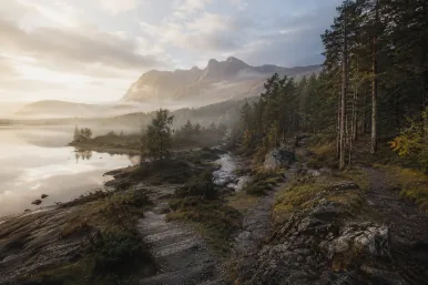 Ruhige Landschaft mit Wasser, Wald, Nebel und verschiedenen natürlichen Ebenen im Morgenlicht als Sinnbild für Vielschichtigkeit und unterschiedliche Perspektiven menschlicher Wirklichkeit.